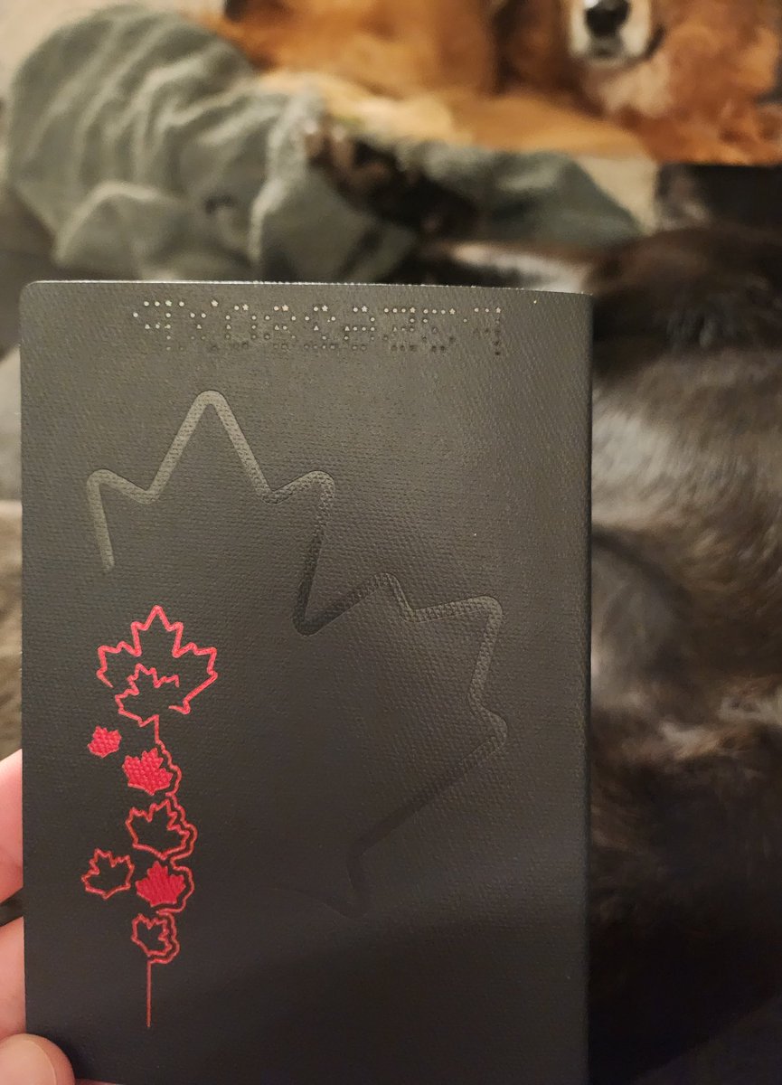 J Hunter🍁 tweet media