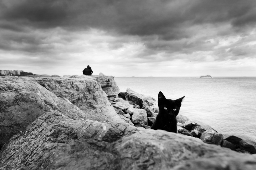 Street photography by Hakan Biyiklioglu. #streetphotography #photography #photographie #fotografie