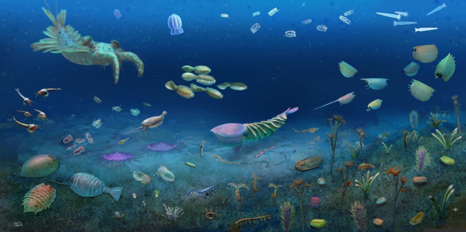 PaleontologieFr's tweet image. Un gisement exceptionnel de #fossiles vieux de 512 Ma découvert en Chine. 🇨🇳
Les fossiles extrêmement bien préservés de plus de 8 000 spécimens représentent 153 espèces animales marines !
#Cambrien 

📰doi.org/10.1038/s41586…

lemonde.fr/sciences/artic…
