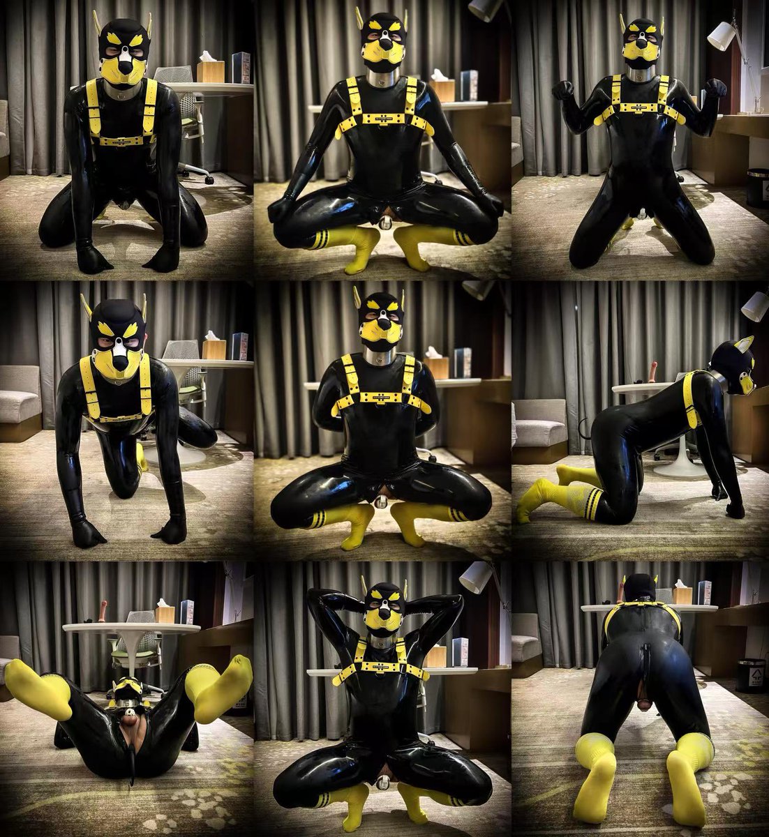 RubberDunDun's tweet photo. 小狗训练图🐕‍🦺 https://t.co/jQPacgf7m1