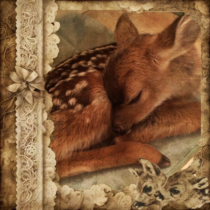 bunni₊˚⊹ ᰔ tweet media