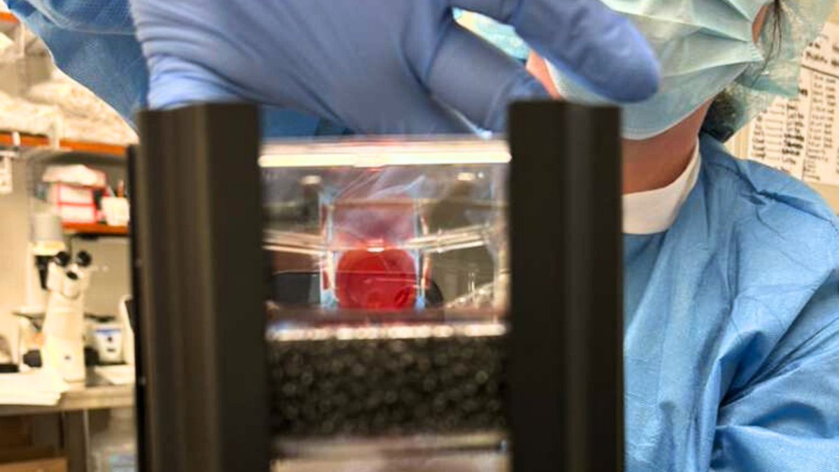 Cellbox Solutions tweet media