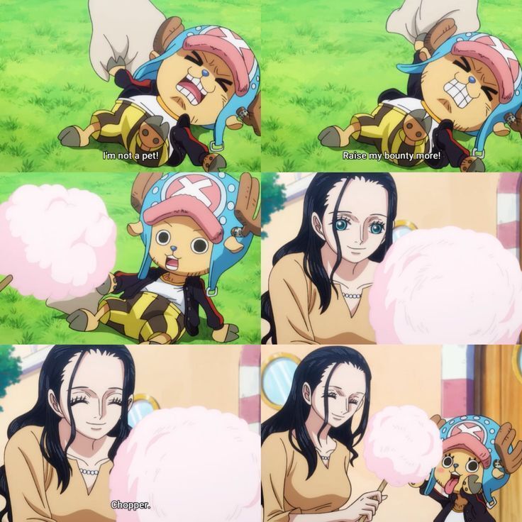 One Piece Daily tweet media