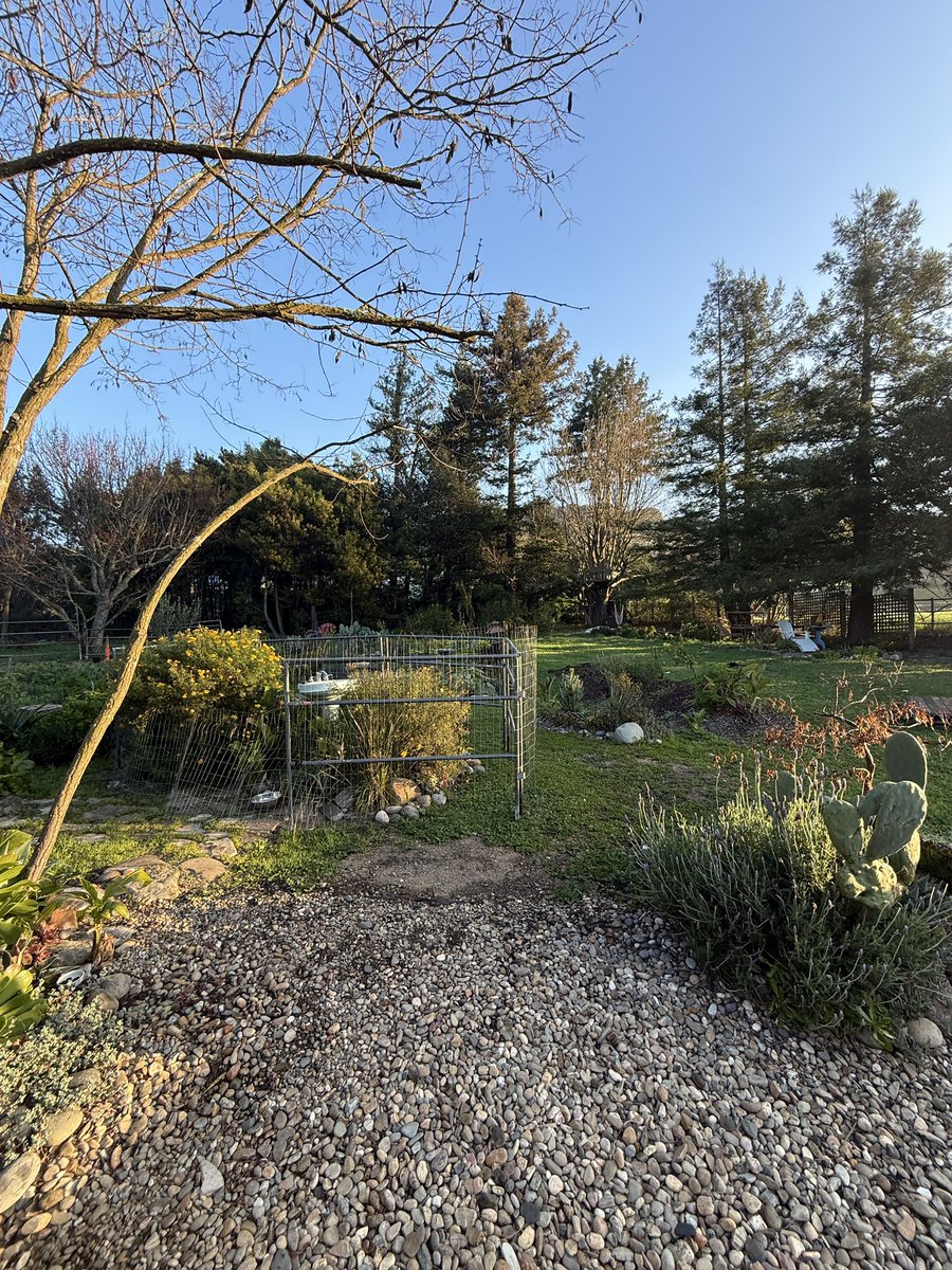 blake jamieson tweet media