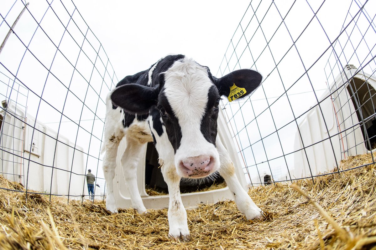 UW–Madison Computer Sciences tweet media