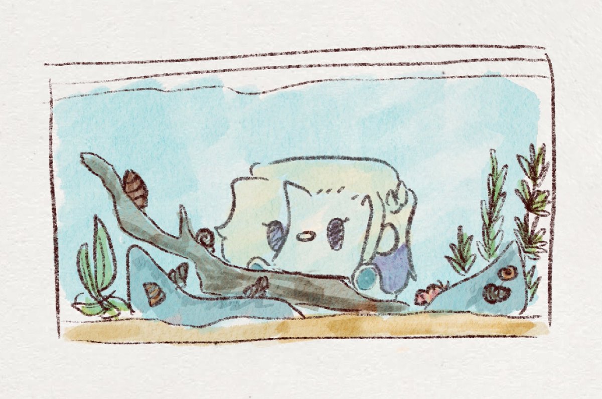 twst_Dino's tweet photo. On February 2nd, VilTsum was invited onto a talkshow! And yesterday (February 3rd) he saw some cool snails in an aquarium store!
#Tsumaday https://t.co/LrpKVBGoMz