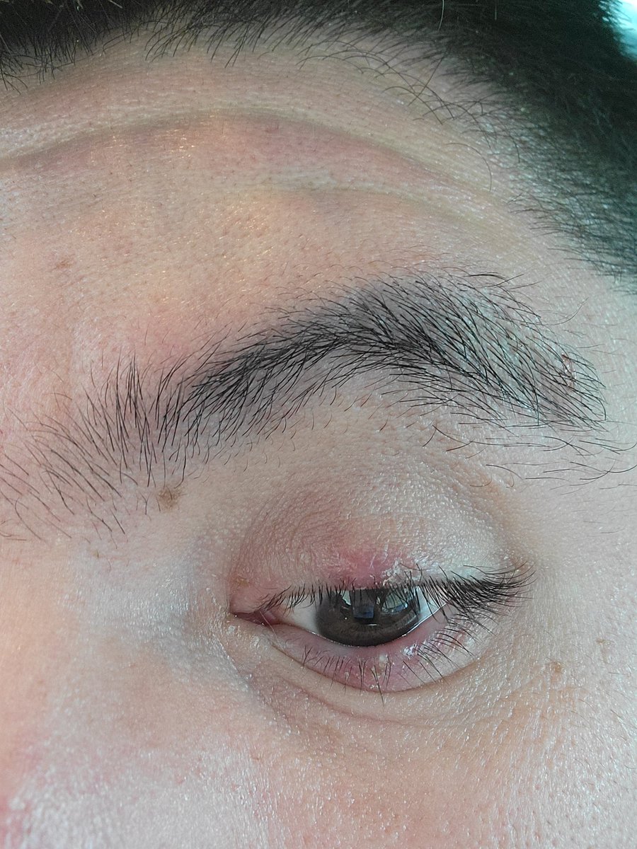 Gabriel Silva PG ACCOUNT tweet media