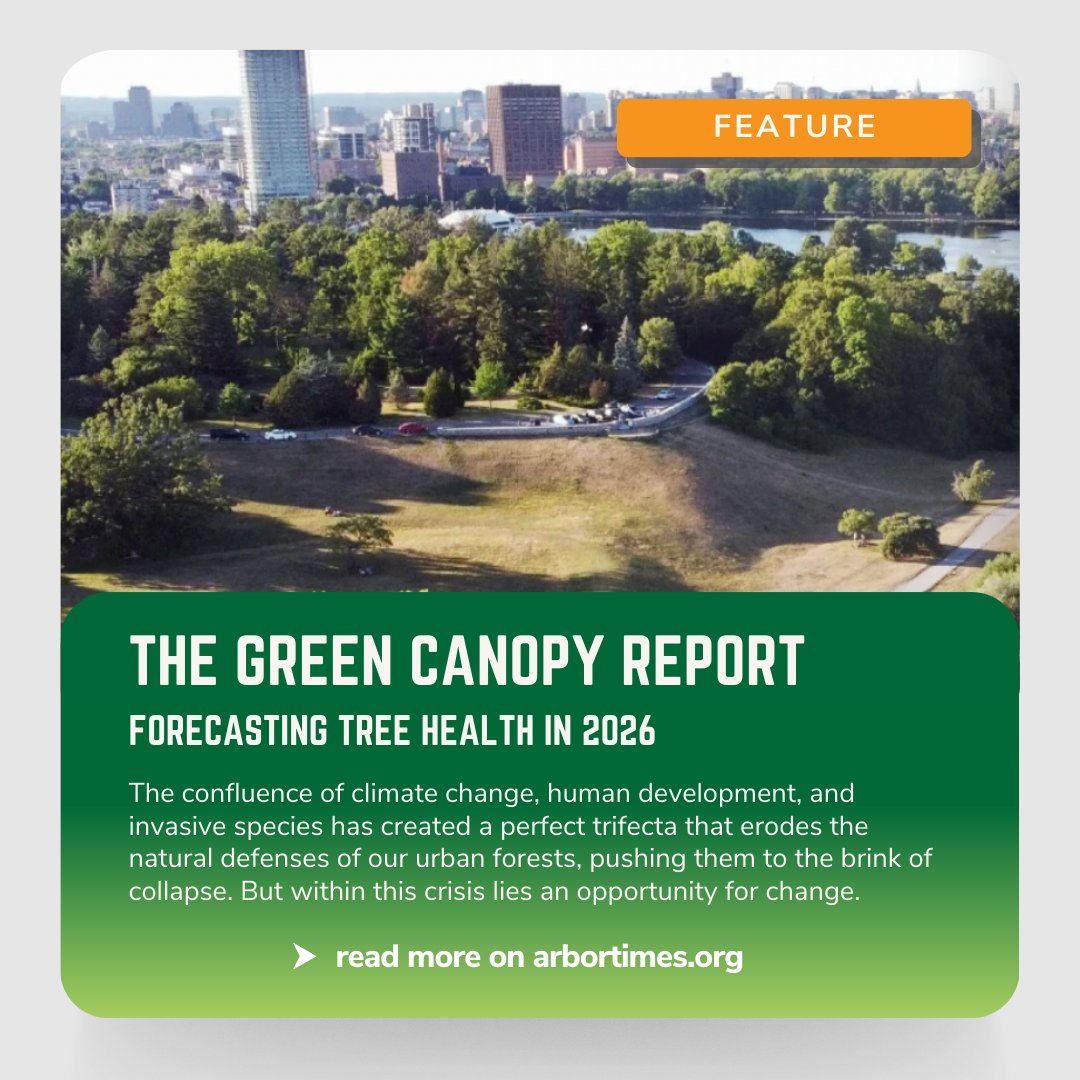 How we design our urban forests can have a lasting impact that not only helps trees withstand today’s pressures, but also stands the test of time.

Read more about the forecast for tree care in 2026 here:
na2.hubs.ly/H03rSnD0

#arbortimes #tech #arboriculture #planthealthcare