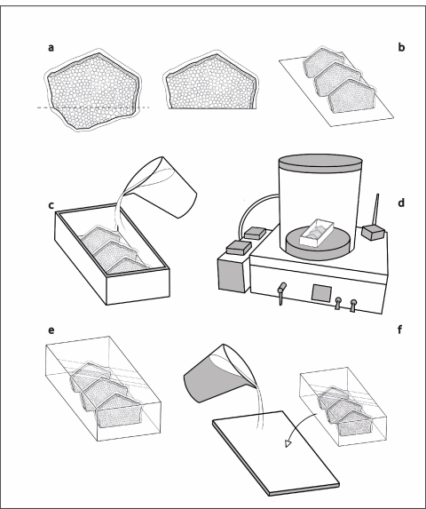 PaleontologieFr's tweet image. Un article fr 🇫🇷 (Université d'Aix-Marseille) !
"Une méthode de préparation de lames minces multi-échantillons : intérêt pour l'étude des coquilles d'œufs #fossiles" 🥚🔬
#lithopréparation #paléoichnologie 

journals.openedition.org/pm/5377