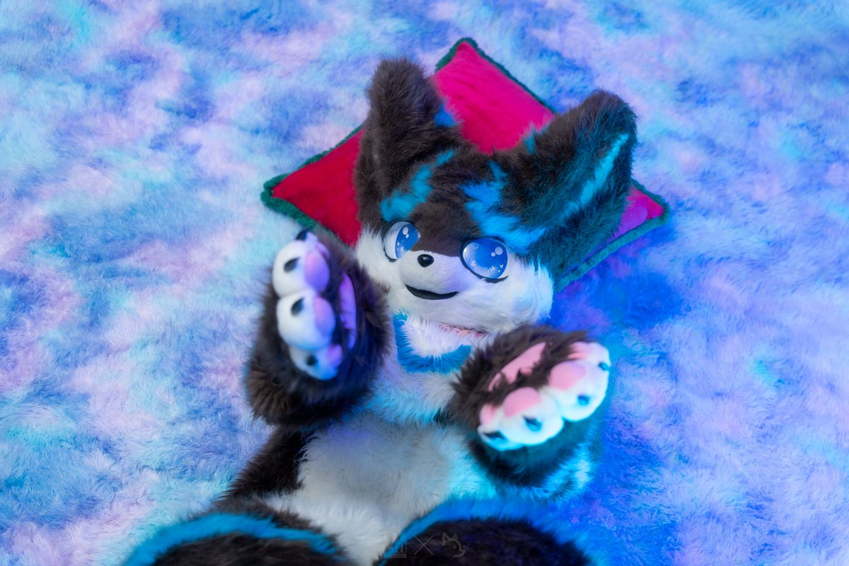 Kinhjal - The Kemono Husky 🇪🇺 (@KemonoKinhjal) / Posts / X