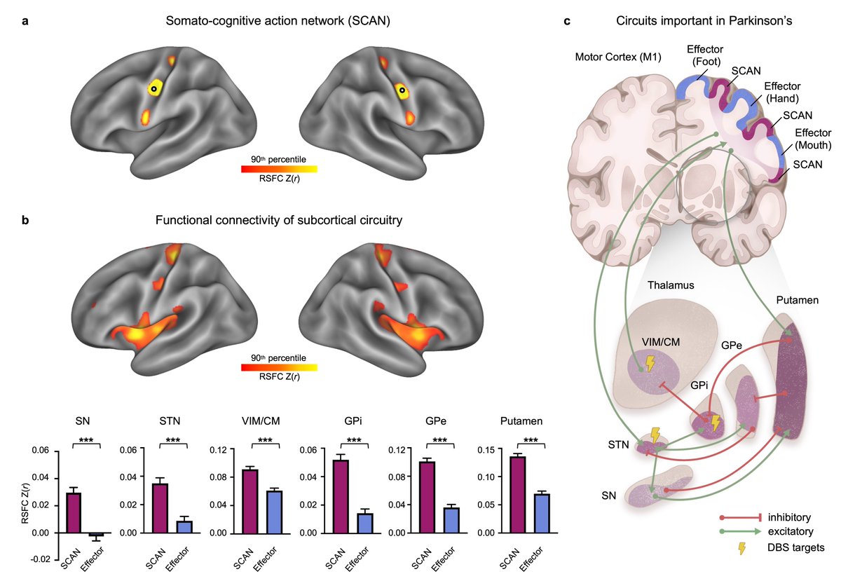 Hesheng Liu tweet media
