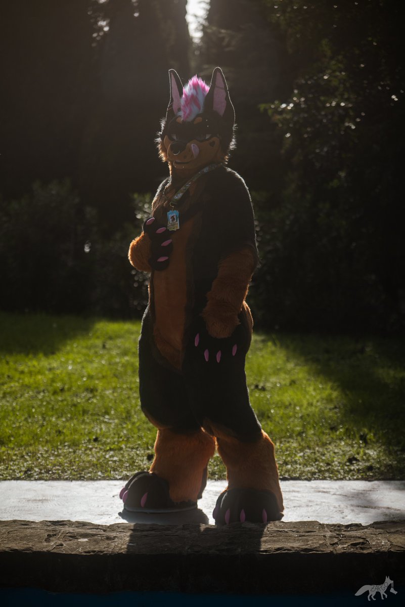 Bropix 🔜 DoggyWeekend Berlin tweet media