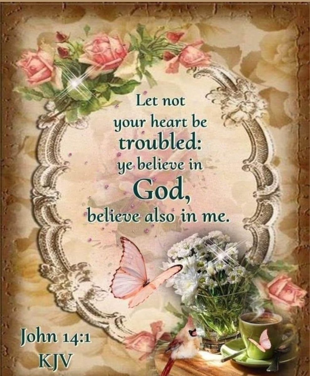 TruthSeeQkr tweet media