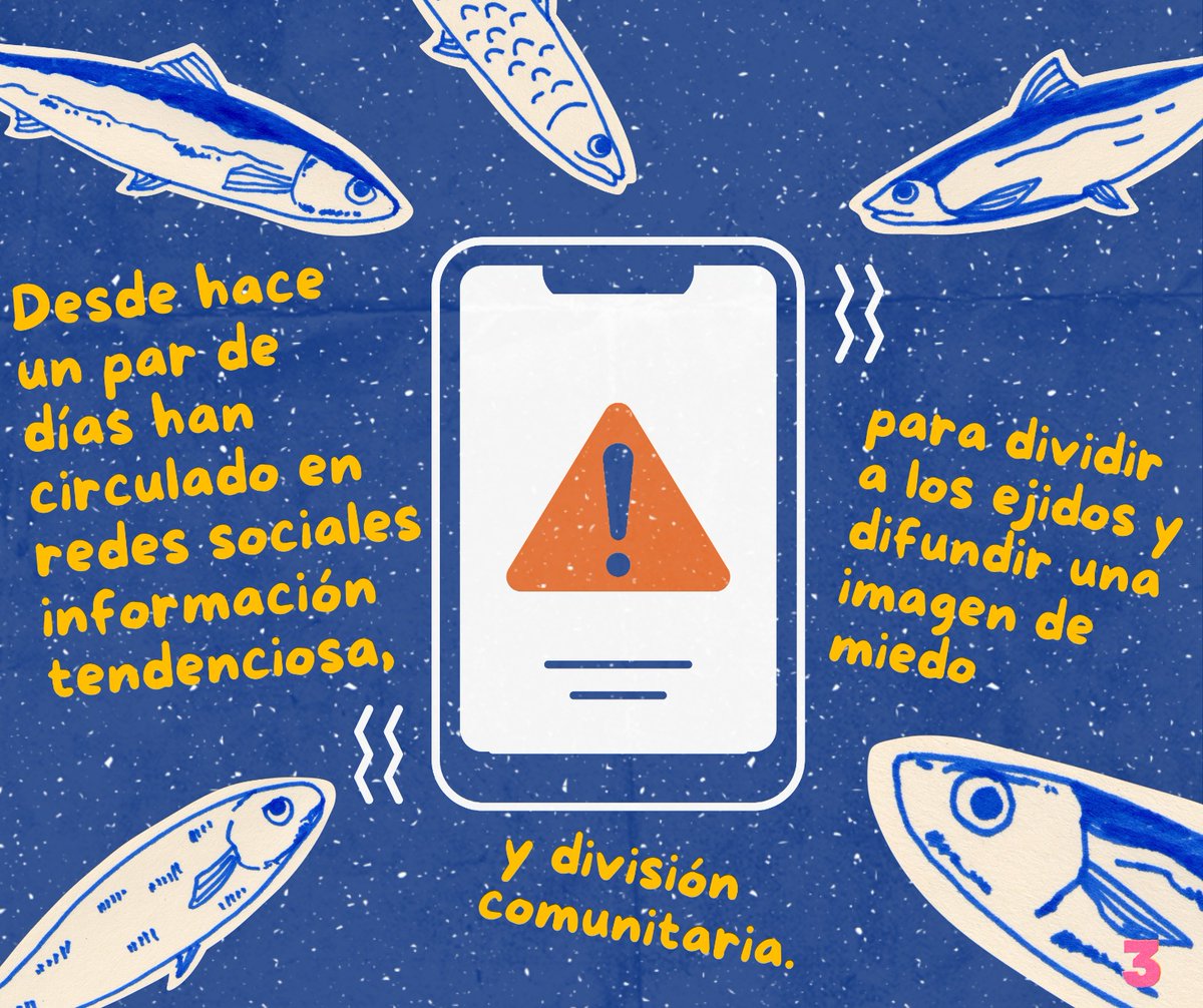 Red Mexicana de Afectadas/os por la Minería -REMA- tweet media