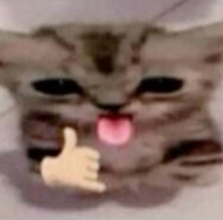 𝗞. 𝗔𝗖𝗞𝗘𝗥𝗠𝗔𝗡 tweet media