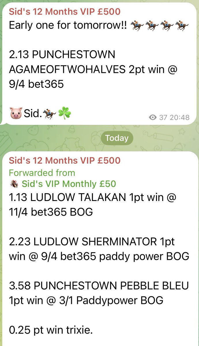 SID365 🐷🐎💰 tweet media