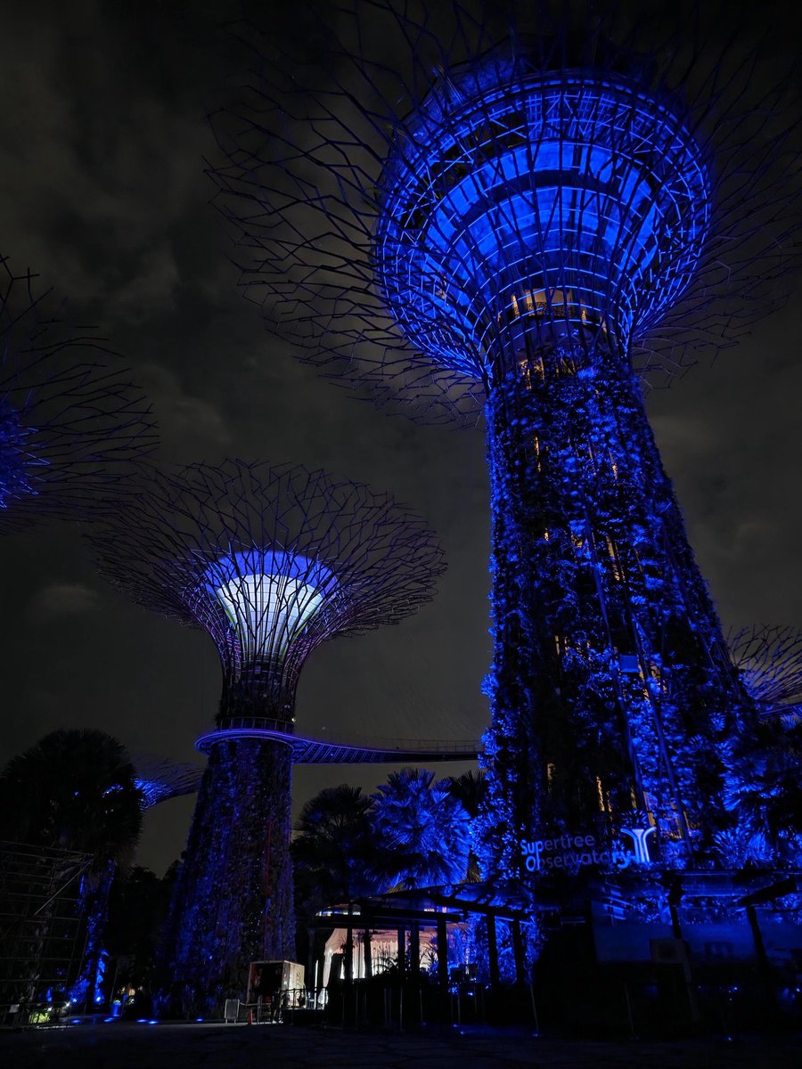 ploywahn's tweet image. สิงคโปร์ อาการมันเป็นยังไงคะ

 #phuwintang