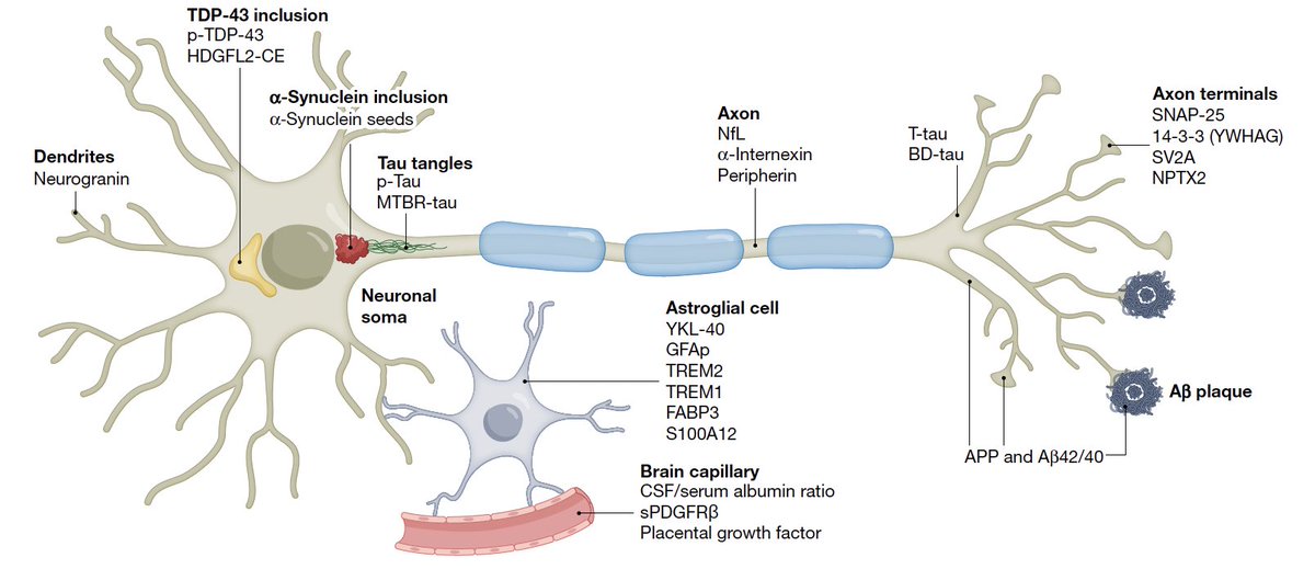 Eric Topol tweet media