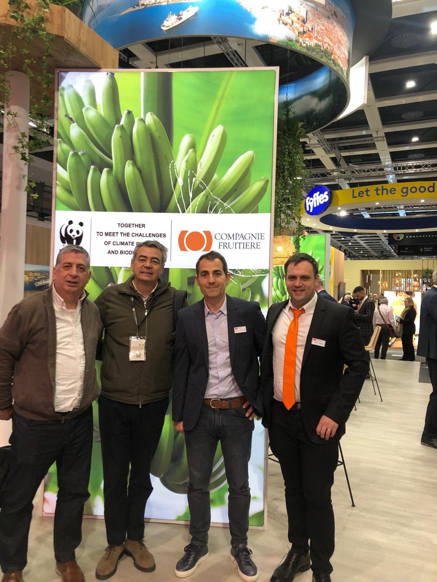 Mercasevilla tweet media