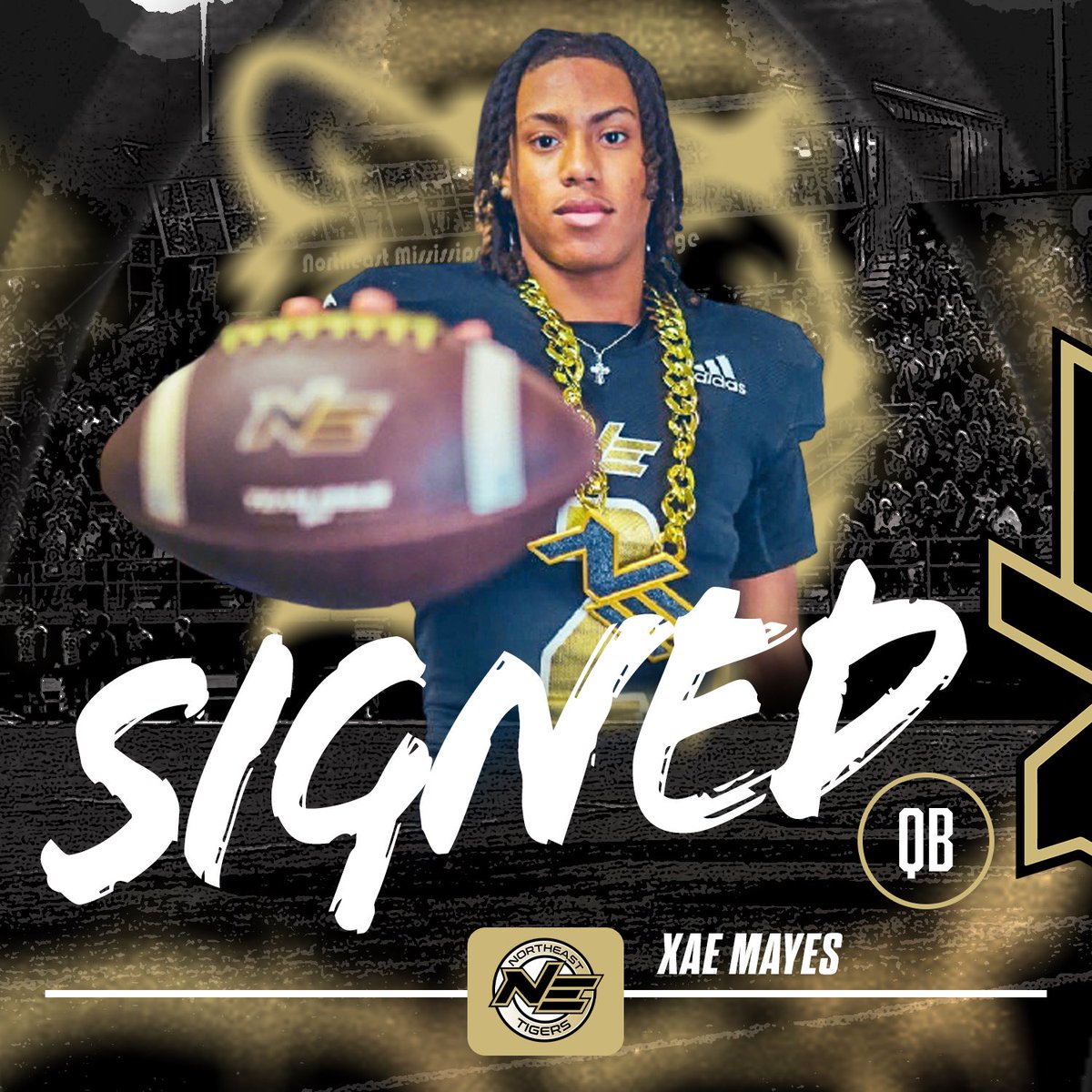 Northeast Tigers tweet media