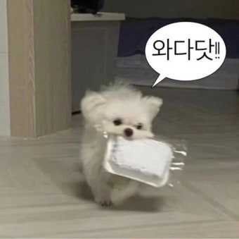 먼저 들이 대도 괜찮은 트친 있나요??😼