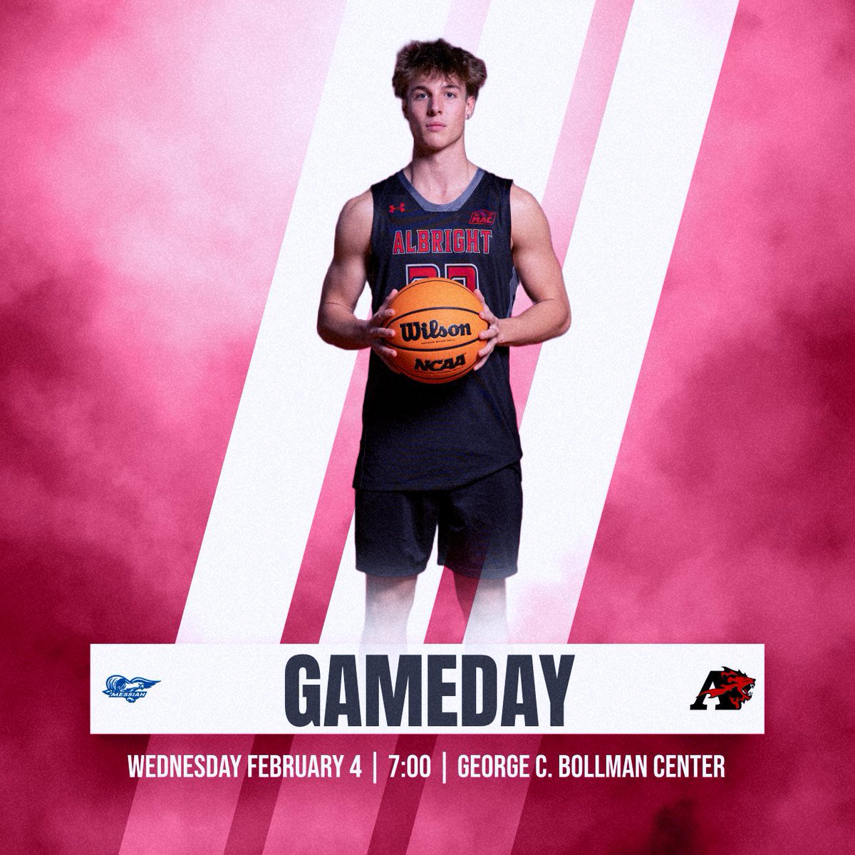 Albright Lions tweet media