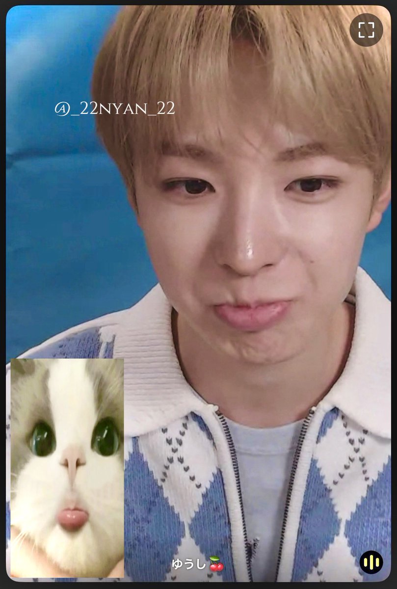 _22nyan_22's tweet photo. 260204 케타포 영통

모두 귀엽다 🐈💕💕
#NCTWISH #ユウシ #유우시 https://t.co/xbjJa1gIxu