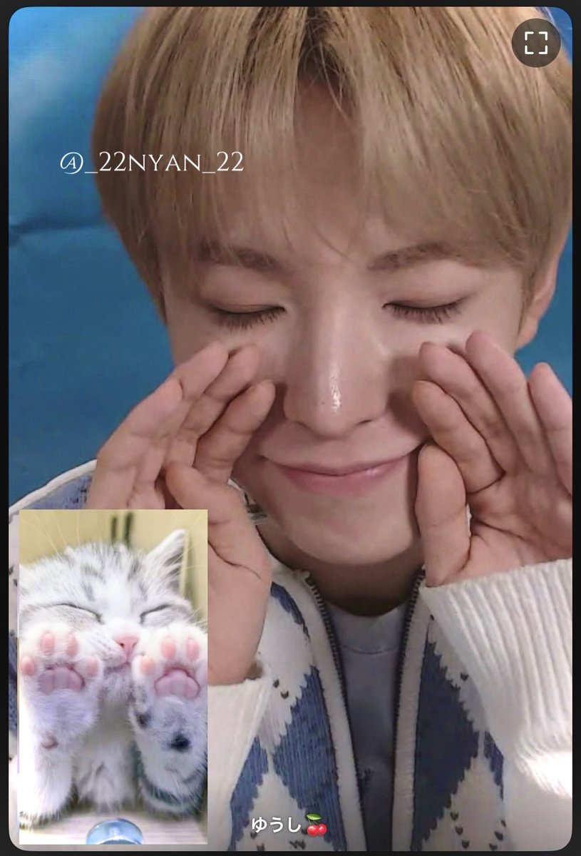 _22nyan_22's tweet photo. 260204 케타포 영통

모두 귀엽다 🐈💕💕
#NCTWISH #ユウシ #유우시 https://t.co/xbjJa1gIxu