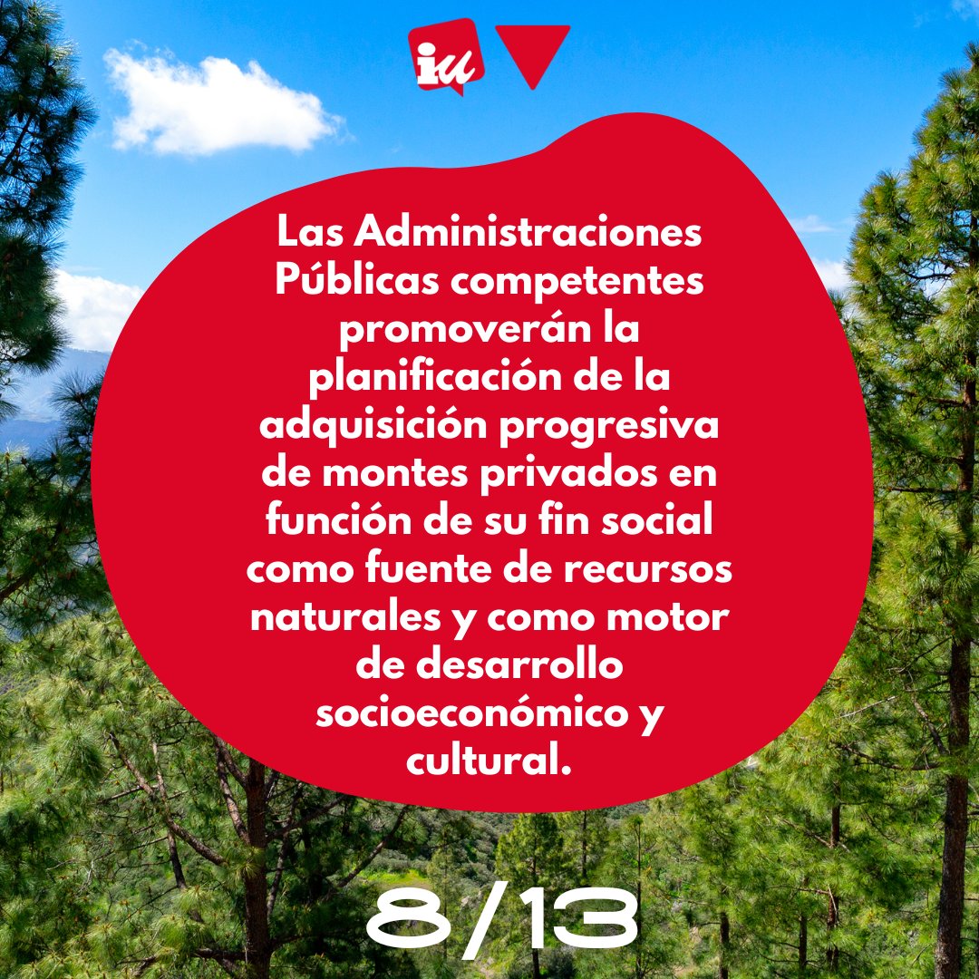 Alegaciones de IU Canaria al Anteproyecto de Ley de Montes de Canarias 🇮🇨 con el objetivo de reforzar aún más el texto propuesto por el Gobierno autonómico.

#EcosistemasCanarios #EcoCanarias #CanariasSostenible