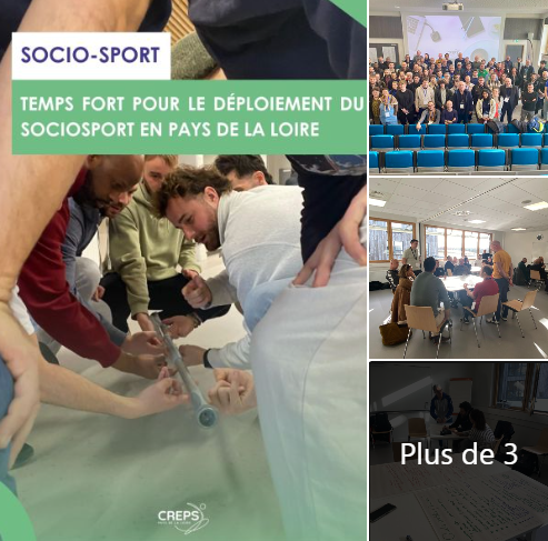 CREPS des Pays de la Loire tweet media