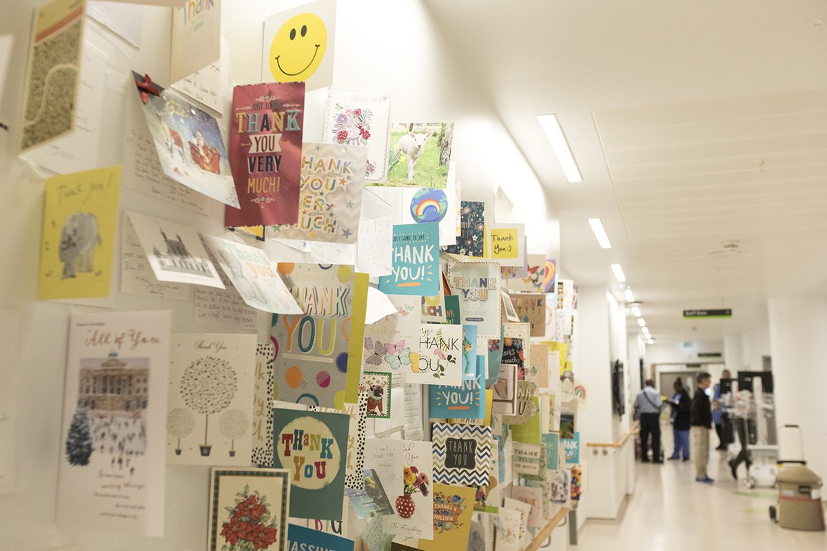 HCC_UCLH's tweet photo. World Cancer Day 2026

The haematology service at UCLH delivers transformational treatment for patients with #Leukaemia, #Lymphoma, #Myeloma and all #haematology conditions. HCC is proud to support haematology @uclh for over 30 years! #loveHCC #HCCis30 #TeamHaem #WorldCancerDay https://t.co/XuCPOjpg1G