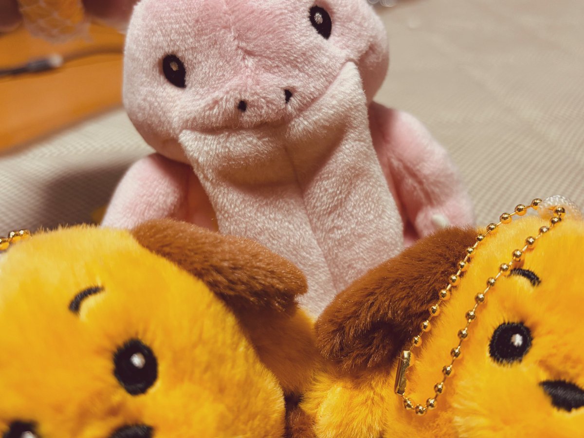 きょさん ✨３点 サンスター チェーン＆スプロケット 3点セット カワサキ ZX-6R SUNSTAR