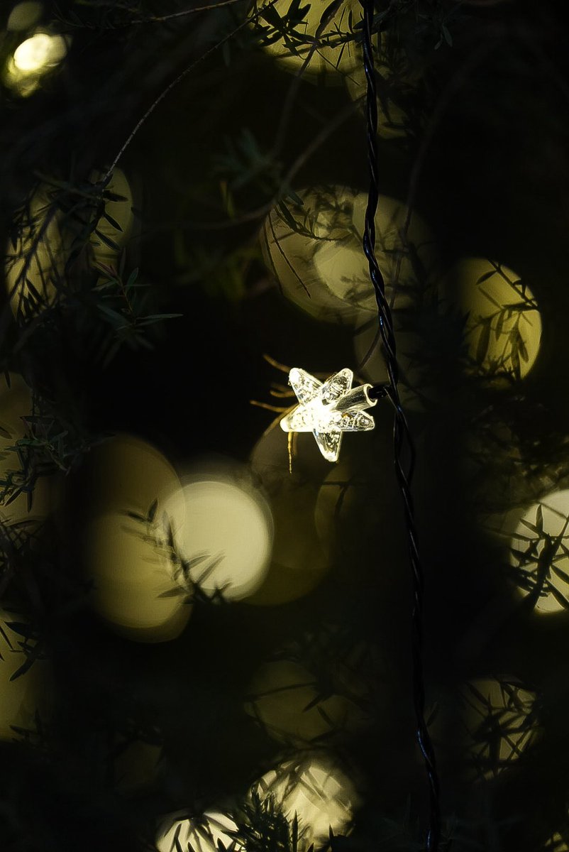 DAY1 - wrapped ⭐️