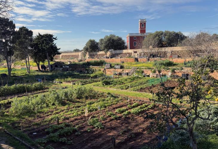 🪏🍅🥕 Adjudicades 13 noves parcel·les als horts urbans de Sa Vinyeta de Ciutadella

♻️ La iniciativa té com a objectiu fomentar l’autoconsum saludable, la sostenibilitat i la cohesió social 🫂

📲 psm-menorca.cat/ca/blog/adjudi…

#Ciutadella #Menorca