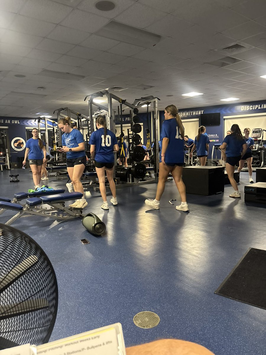 Coach Hough Westfield State Softball tweet media