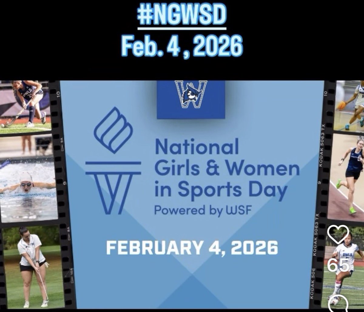 Coach Hough Westfield State Softball tweet media