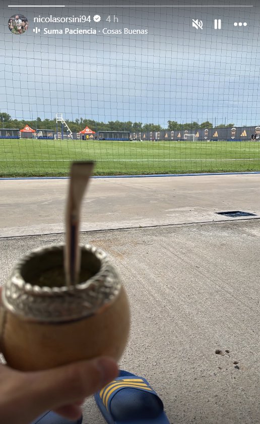 xeneizedprimera's tweet image. 7 delanteros lesionados y tenes a #Orsini tomando mate, rascándose los huevos y cobrando buena guita en USD, tenes a #Ramirez pelotudeando , a #Martegani sacándose fotos para instagram.  Tanto cuesta planificar? Todos los años lo mismo