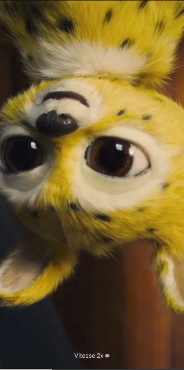 🚨 Après 3 ans d'attentes, Marsupilami de Philippe Lacheau sort aujourd'hui au cinéma !!

C'est la plus gros film d'aventure ET la plus grosse comédie française de l'année 🖤💛🖤

Après les 4.2 millions d'entrées de Alibi.com2, le public répondra t'il autant présent selon vous ?