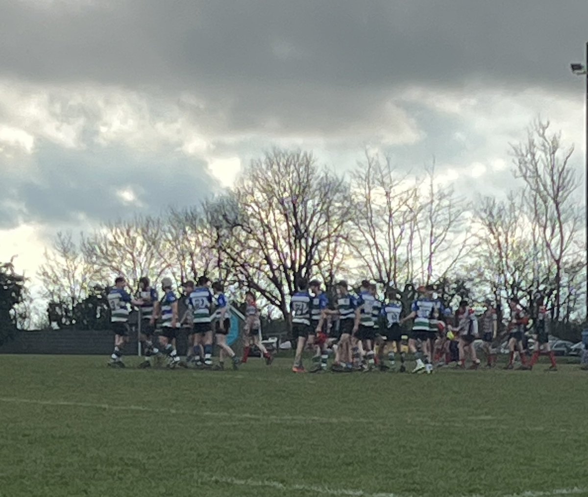 goreyCCRO tweet media