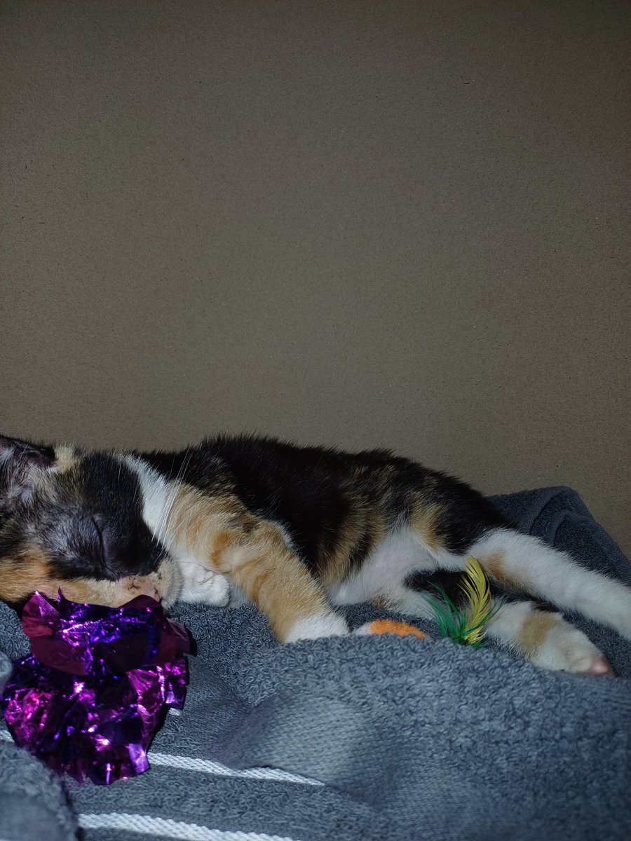 น้องแน็กมาดูเร๊ว <a href="/Snack_ajs/">S N A C K 💜 (จริงๆ)</a> 

#สแน็กอัจฉรีย์  💜
#SnackAjcharee