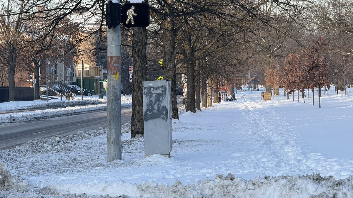 Giacomo Luca tweet media