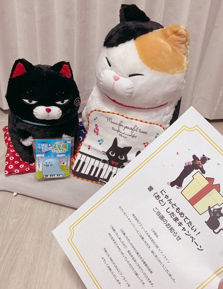 アミューズ AMUFUN【公式】 (@AMUSE_japan) / Highlights / X