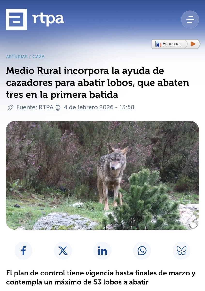 Marcoslrua tweet media