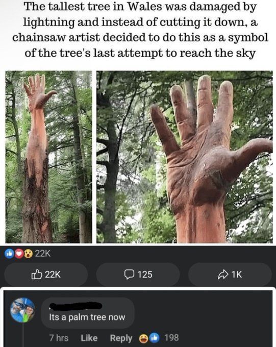 MemesToSave's tweet image. 