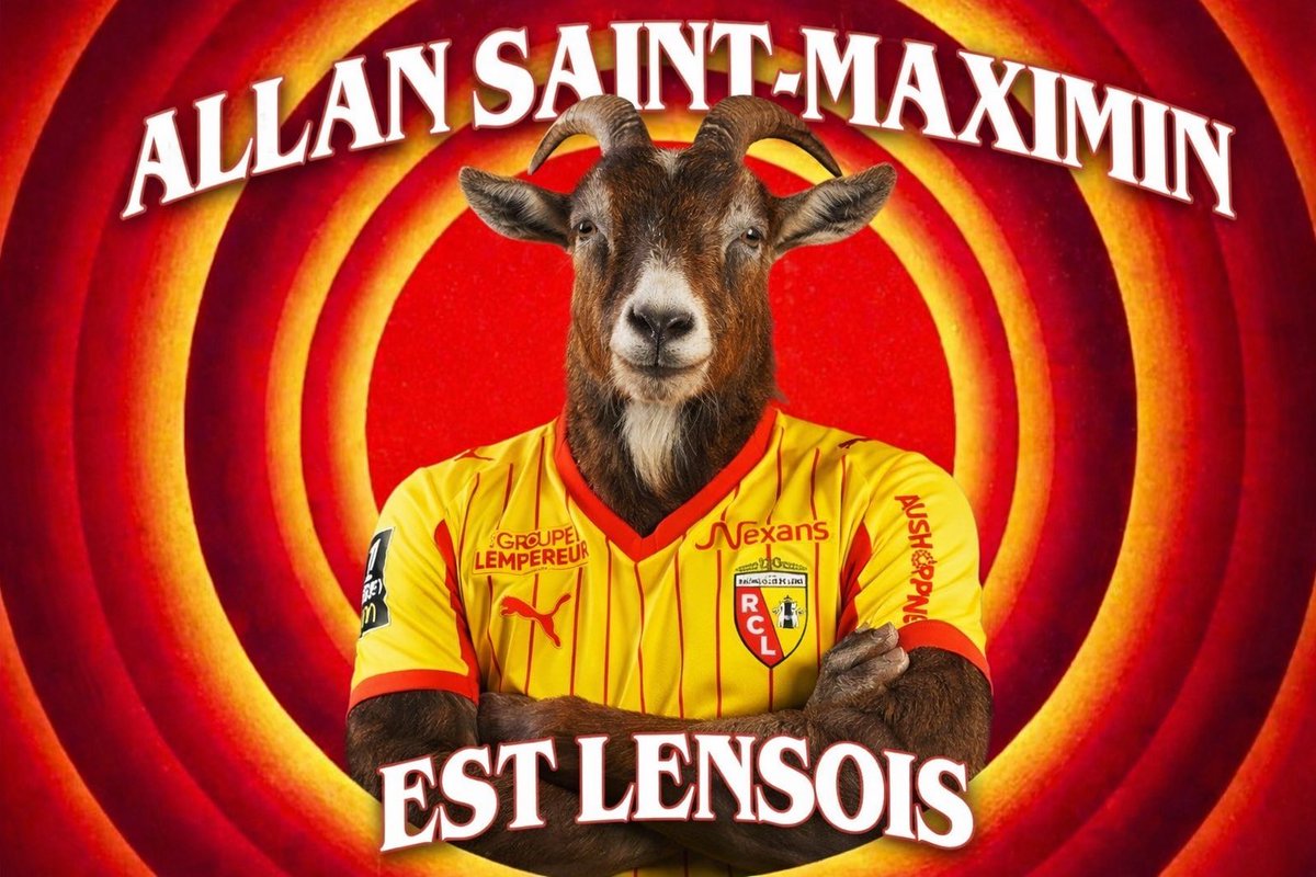 JrmyP 🔴🟡 tweet media