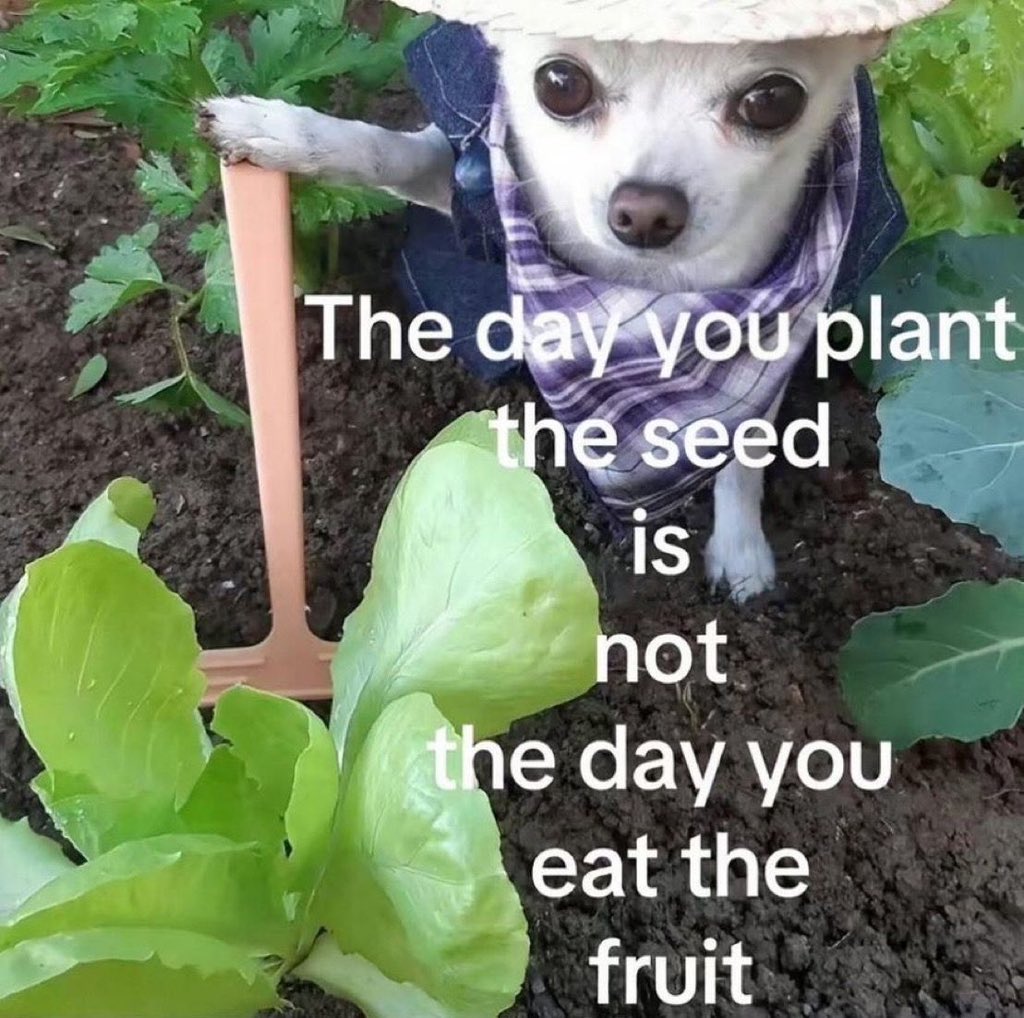 shaunlim.eth tweet media