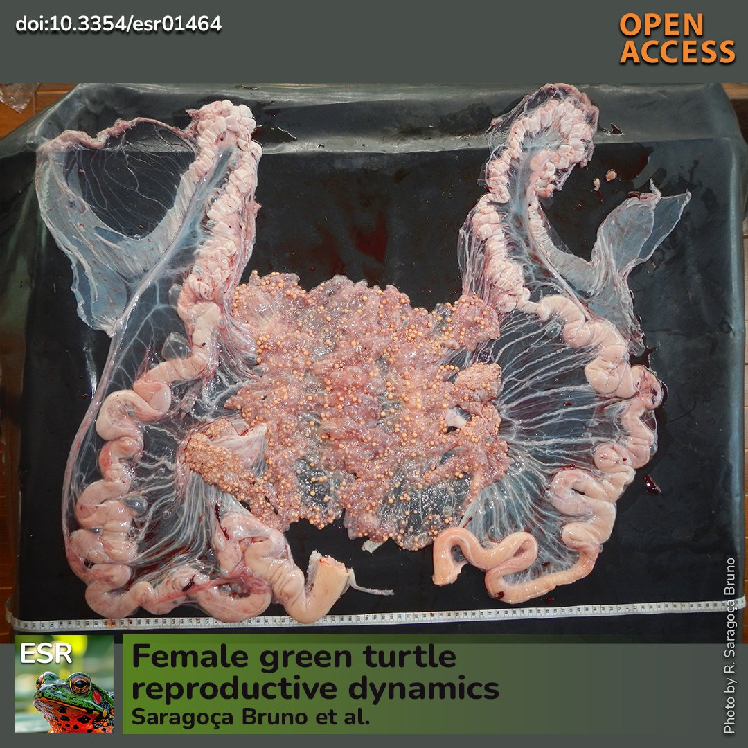 Endangered Species Research tweet media