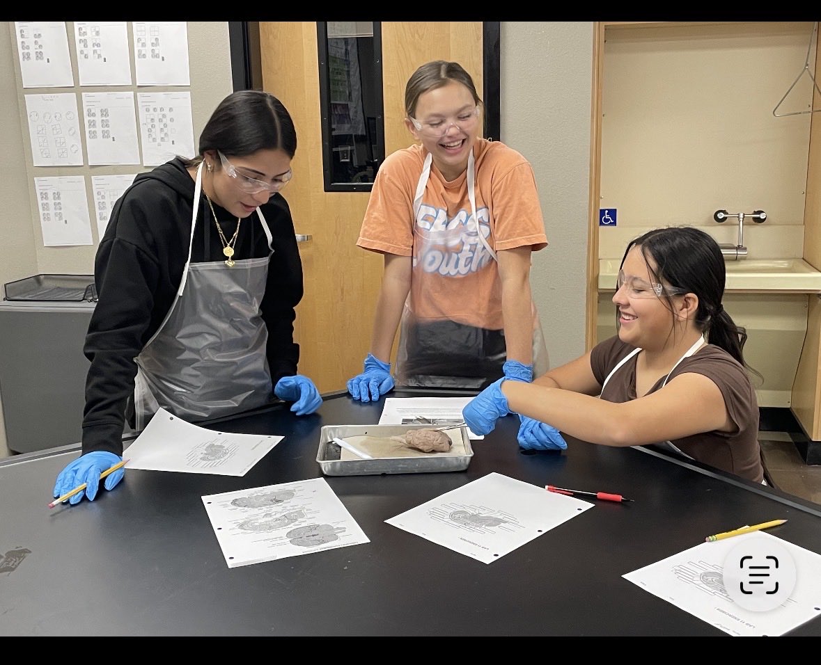 SeminoleJHStx's tweet image. 🧠Hands-on brain dissection allows students to connect what they learn in class to real biological structures, deepening their understanding of the nervous system. #7Science #braindissection #SJHSisTheBest