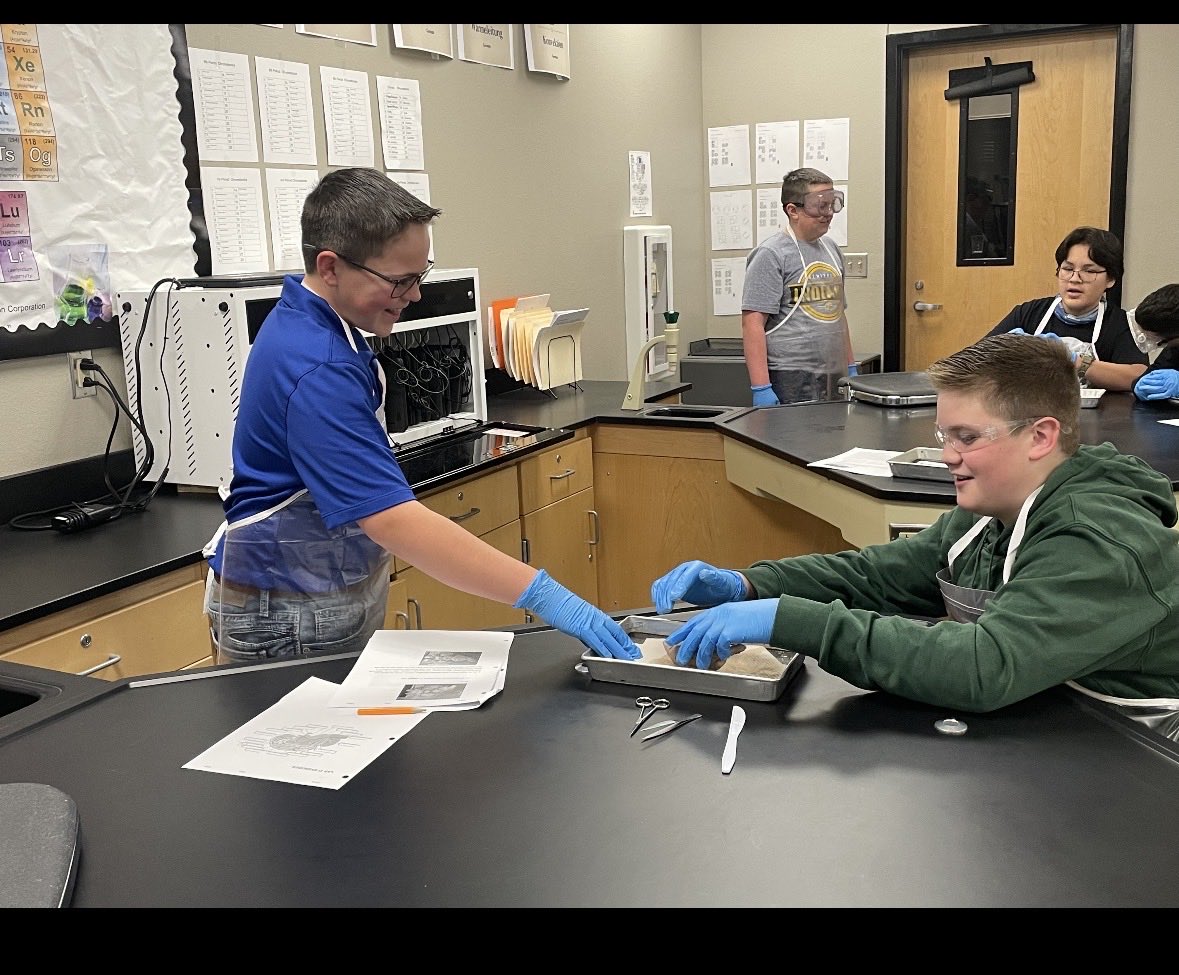 SeminoleJHStx's tweet image. 🧠Hands-on brain dissection allows students to connect what they learn in class to real biological structures, deepening their understanding of the nervous system. #7Science #braindissection #SJHSisTheBest