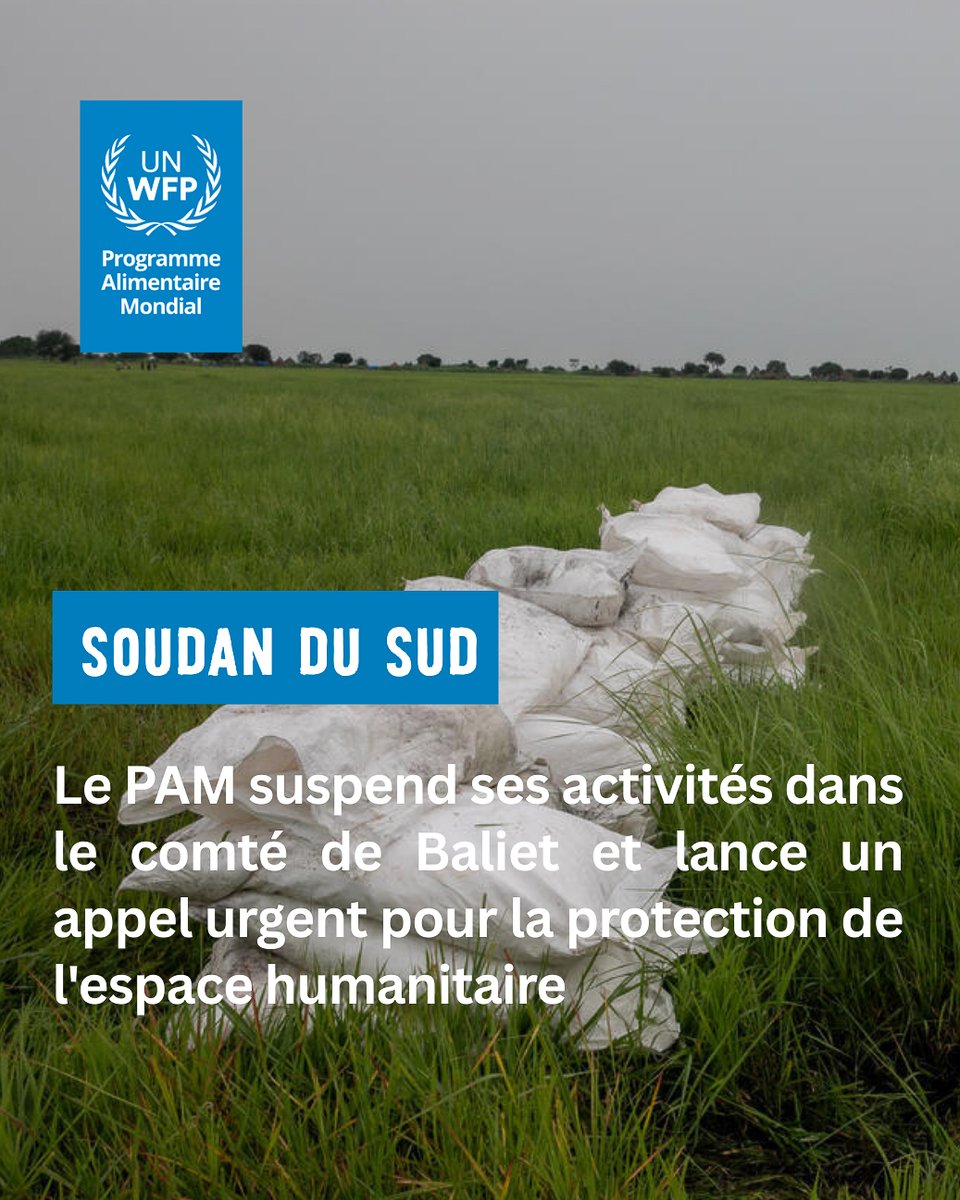 PAM (WFP in French) tweet media